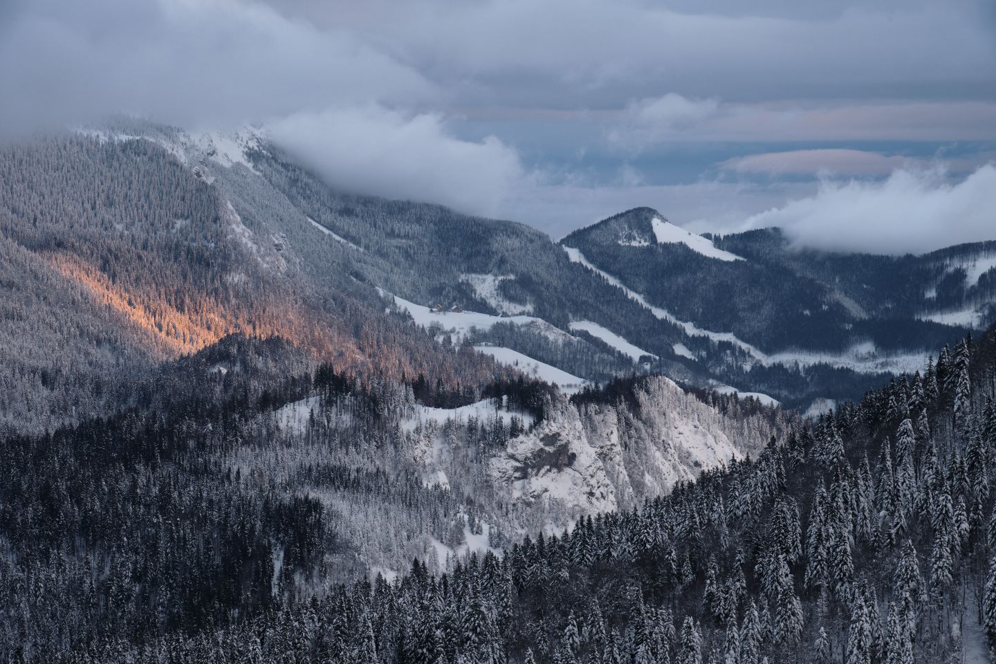 Soriška Planina