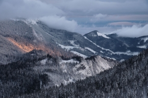 Soriška Planina